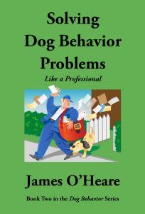 Solving Dog Behavior Problems Like a Professional